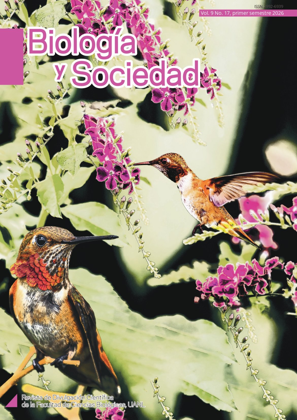 					Ver Vol. 9 Núm. 17 (2026): Enero-Junio 2026
				